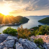 Mljet Guide