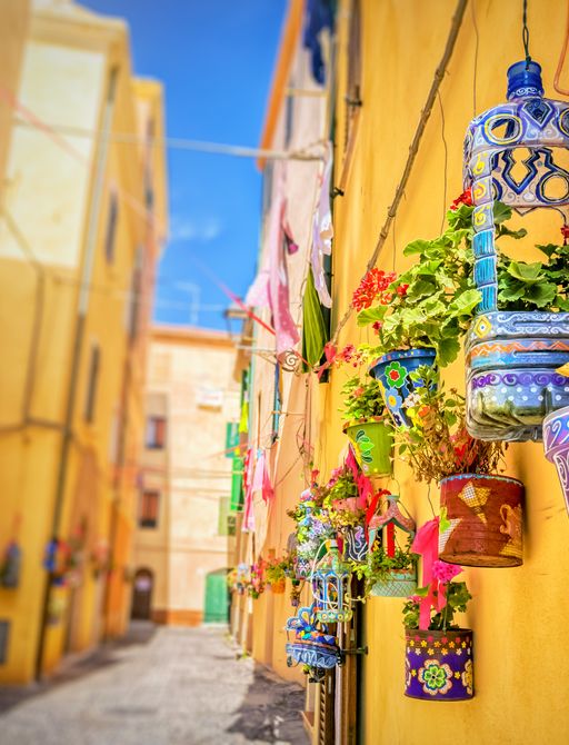 bright and colourful decorative plants hang against the vibrant yellow wall of a family run pizzeria where guests on a luxury yacht charter vacation are dining 