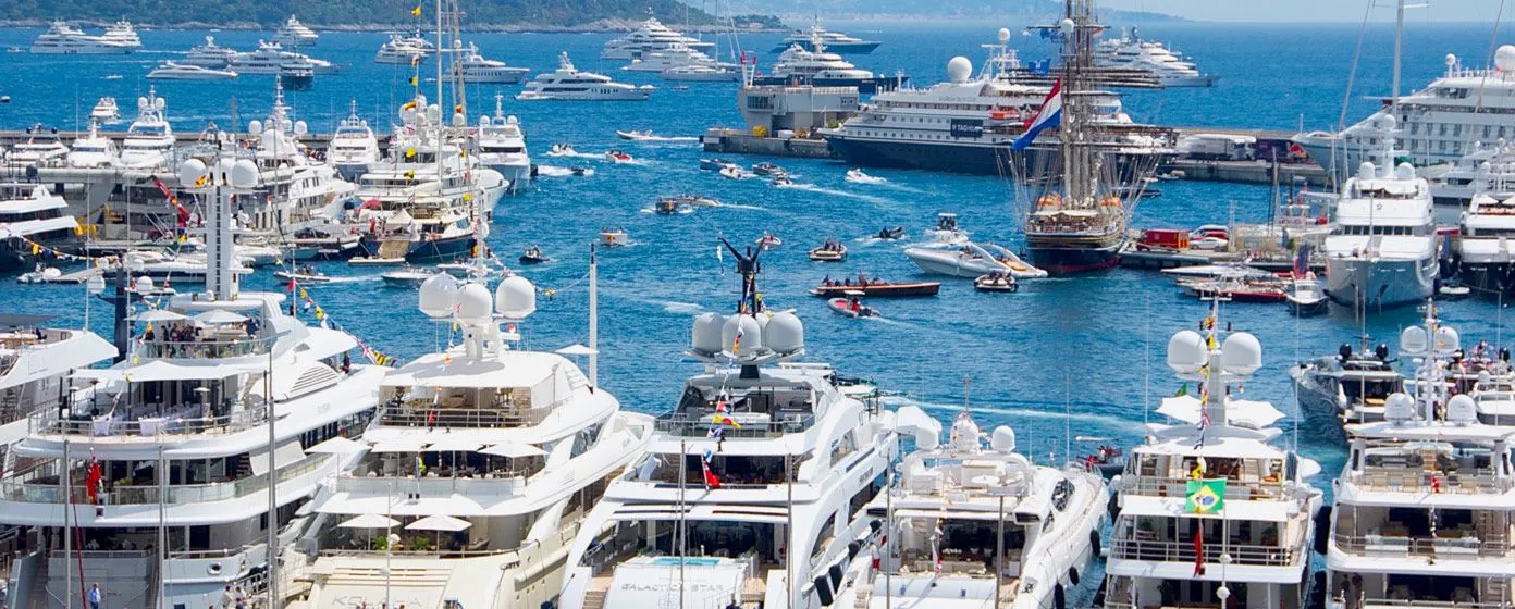 Superyachts moored near land